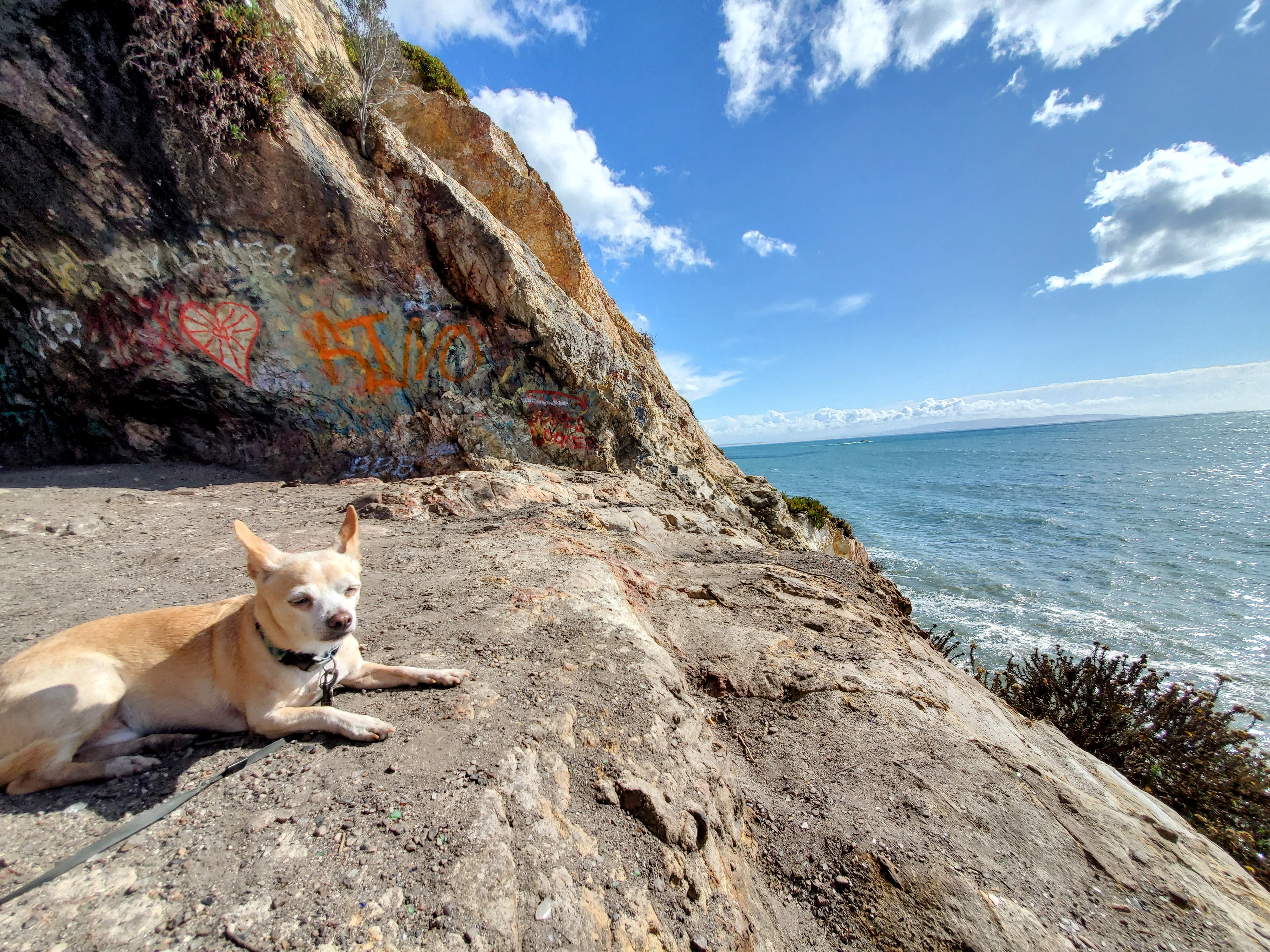 Frank at Pismo