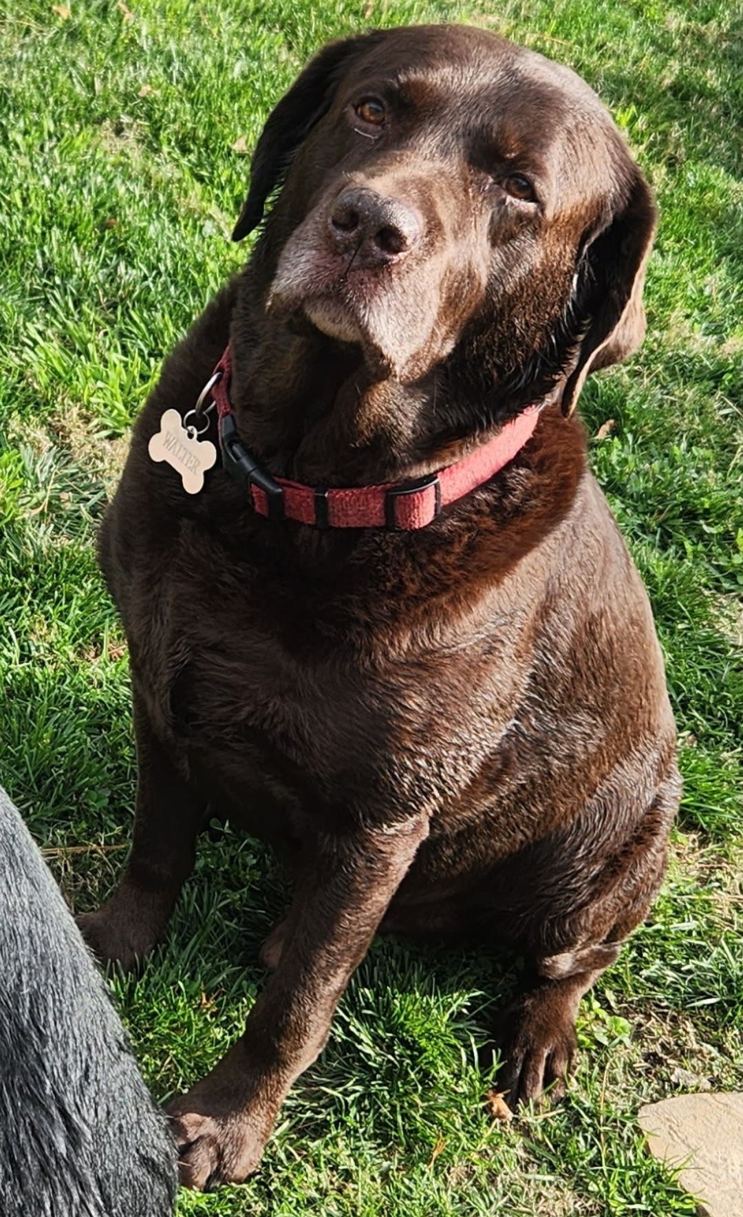 Walter